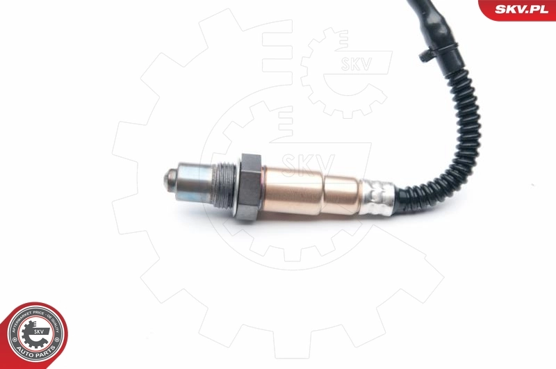 Oxygen Sensor